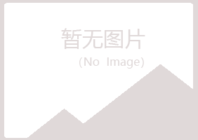 石台县夏岚水泥有限公司